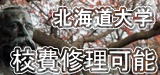 北海道大学 パソコン修理
